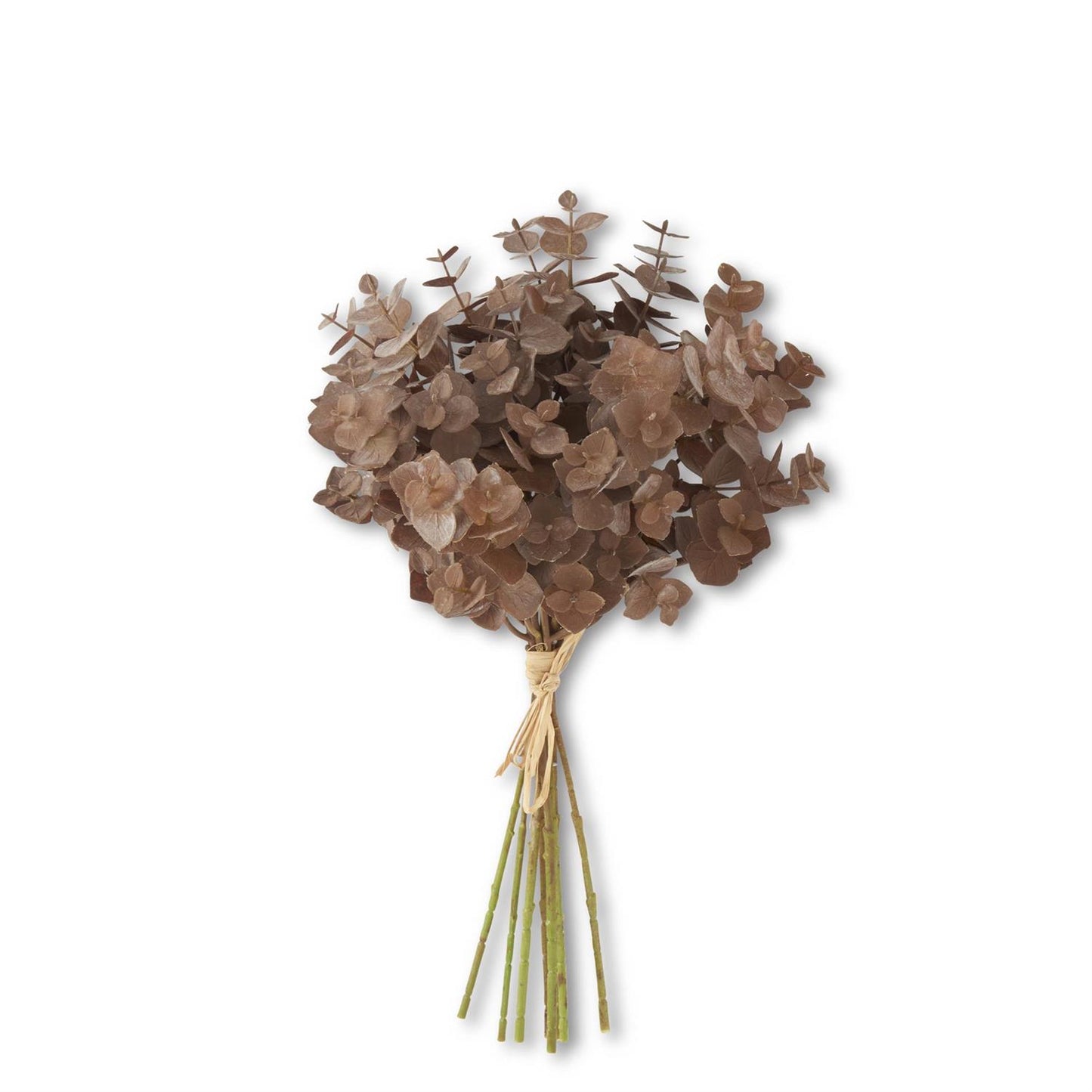 13.5 Inch Brown Eucalyptus Bundle (8 Stem)