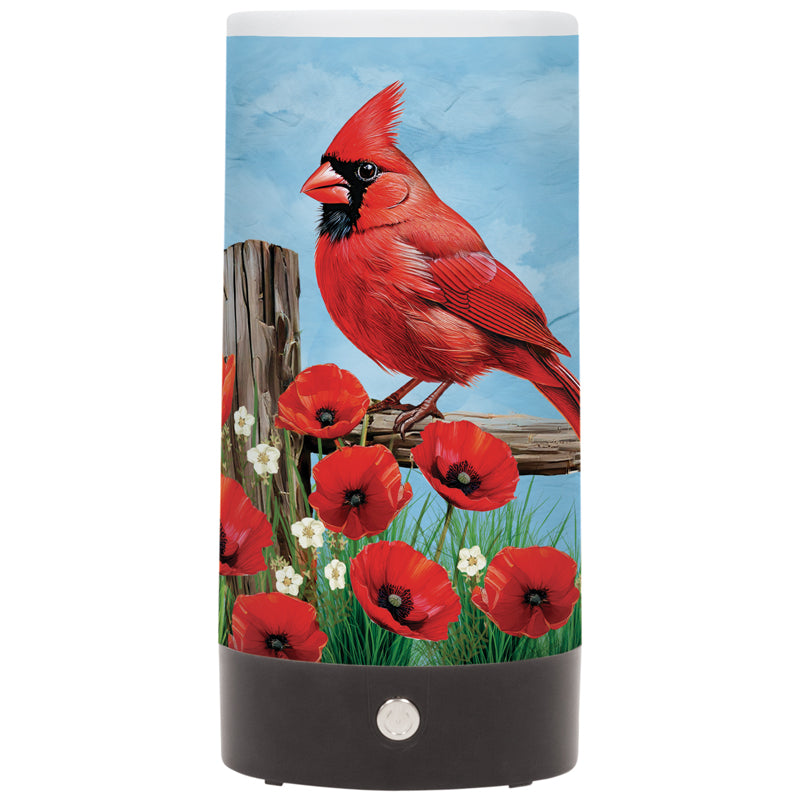 Tabletop Lights - Comfort Cardinal