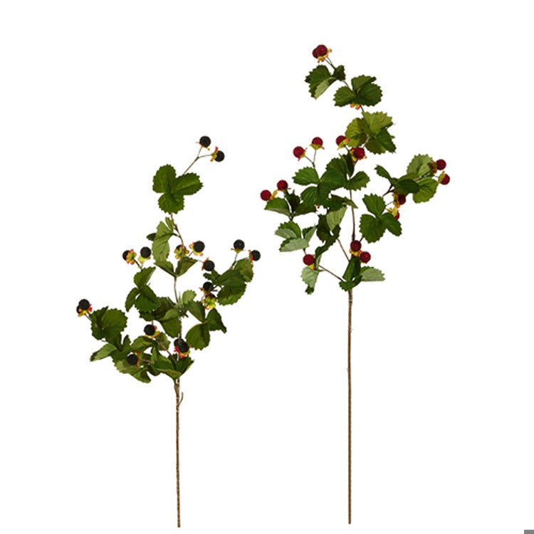 Berry Spray