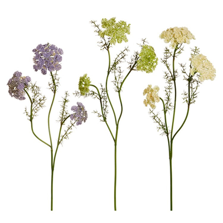 Queen Anne's Lace Spray
