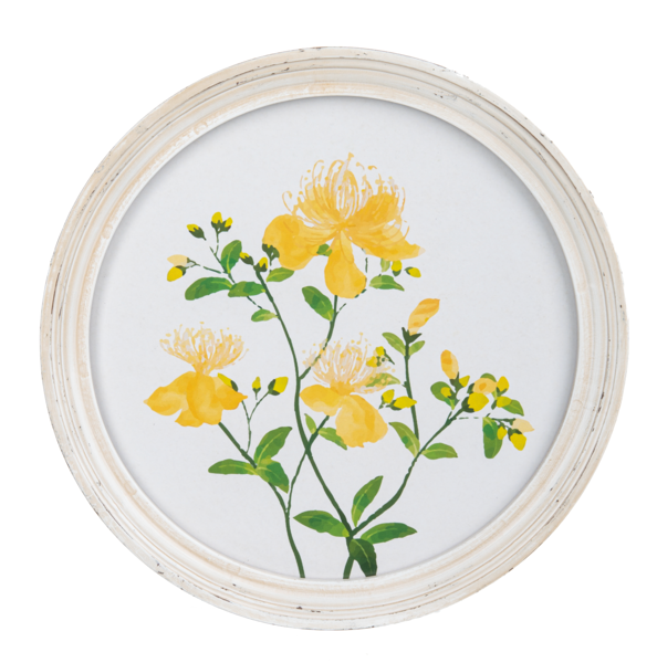 Round Framed Floral Wall Decor