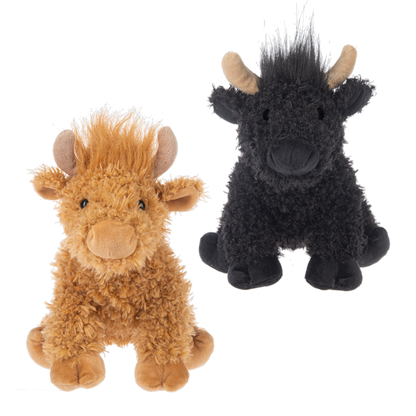 Hennie Highland Cows