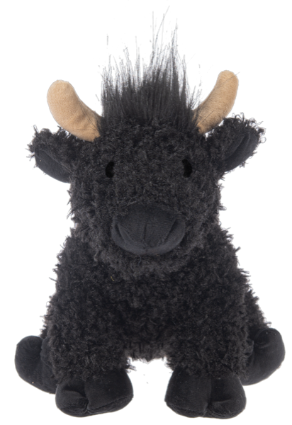 Hennie Highland Cows
