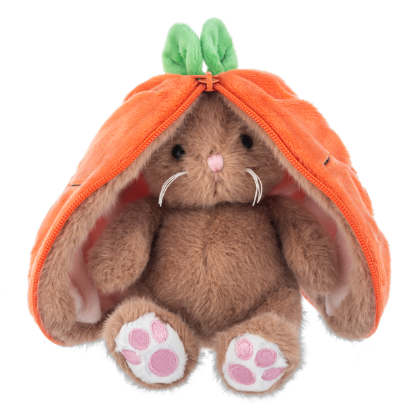 Hide & Seek Bunny