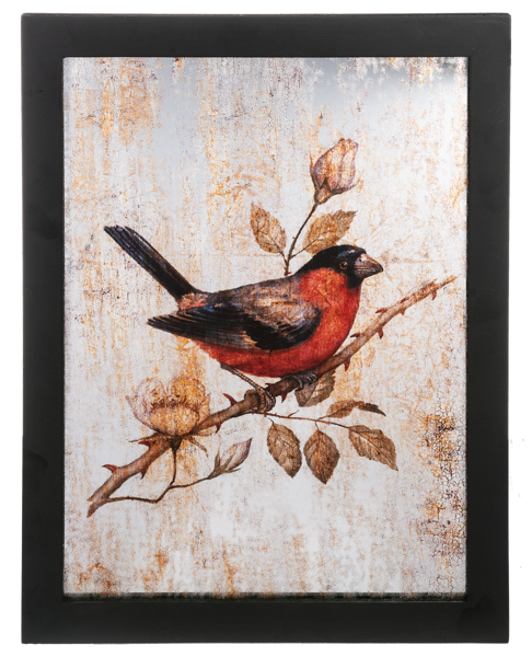 Framed Bird with Antique Mirror Wall Decor