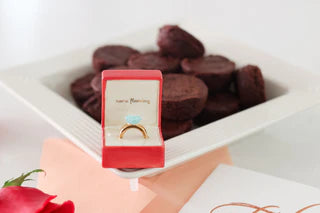 Put a Ring On it - Nora Fleming Mini