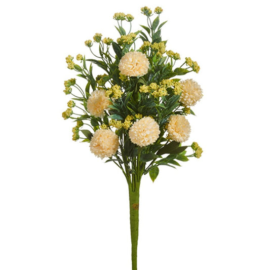 Dahlia Bush
