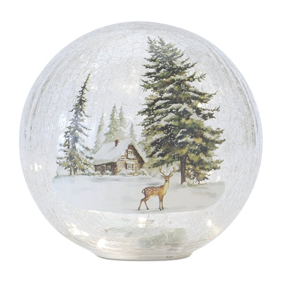 LED Christmas Globe