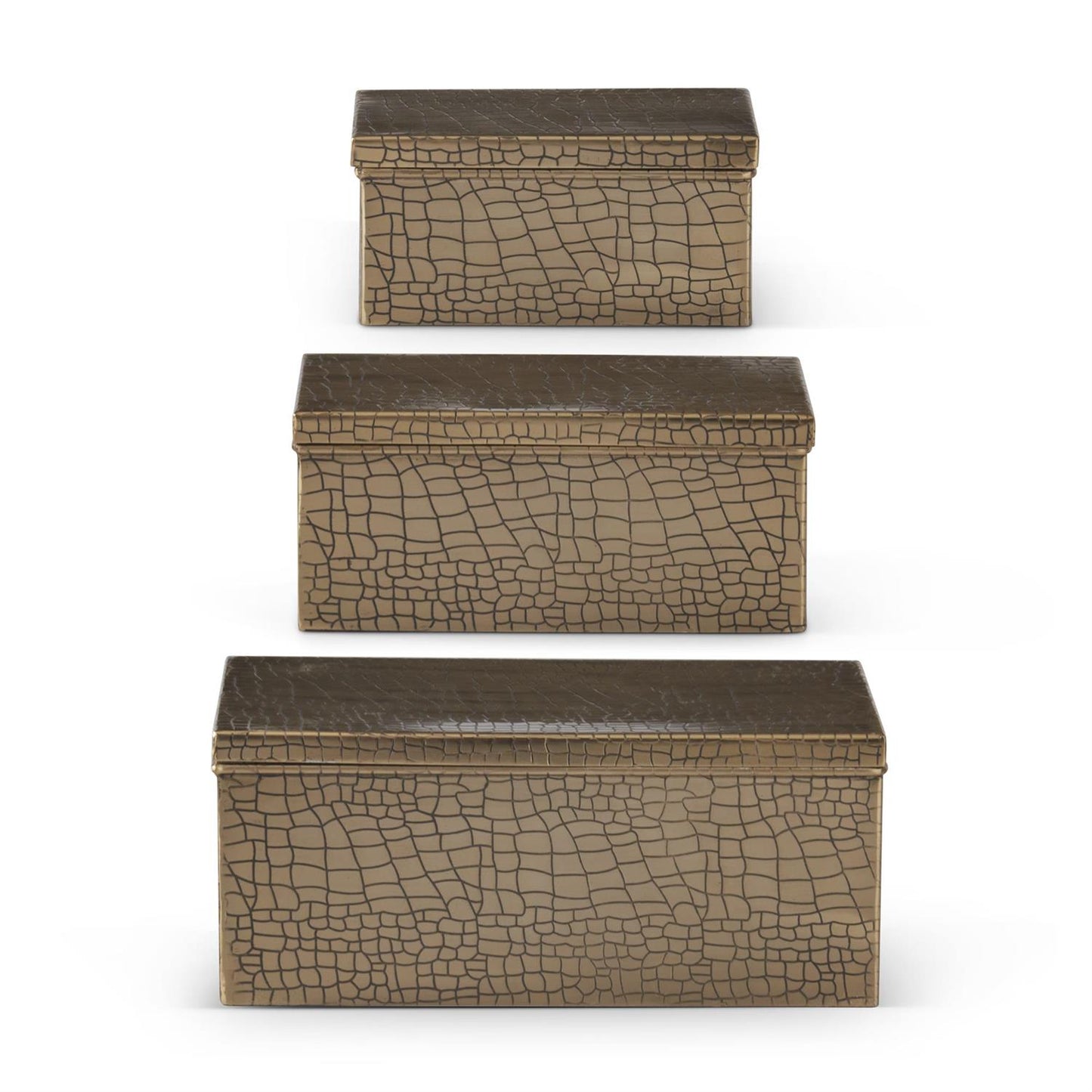 Gold Metal Alligator Skin Embossed Lidded Boxes