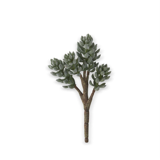 11 Inch Flocked Green  Donkey Tail Succulent  Pick