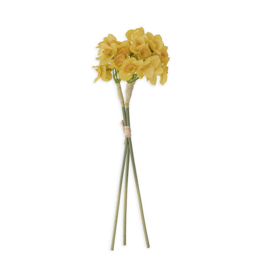 17 Inch Yellow Daffodil  Bundle (3 Stems)
