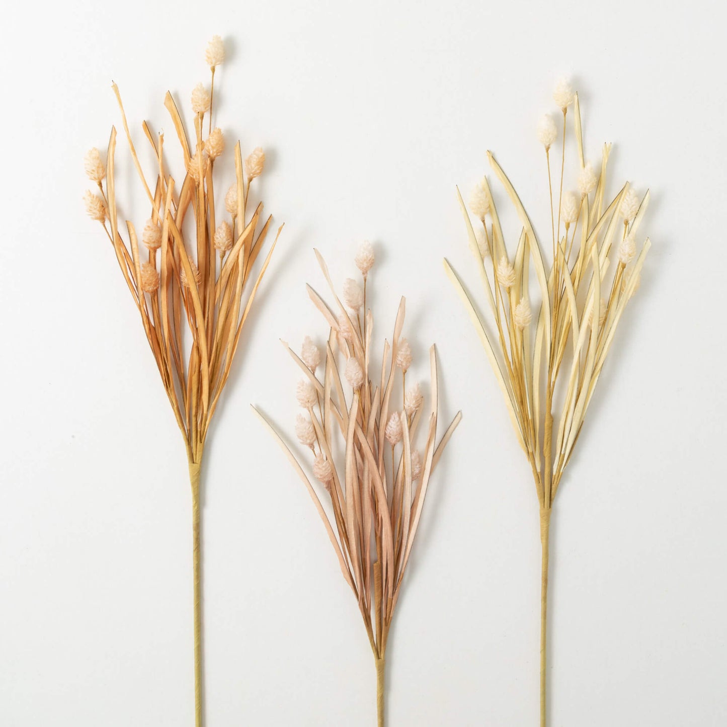 WILD POD GRASS BUSH