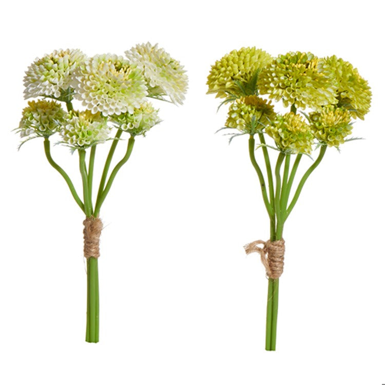 Light Green Sedum Bundle