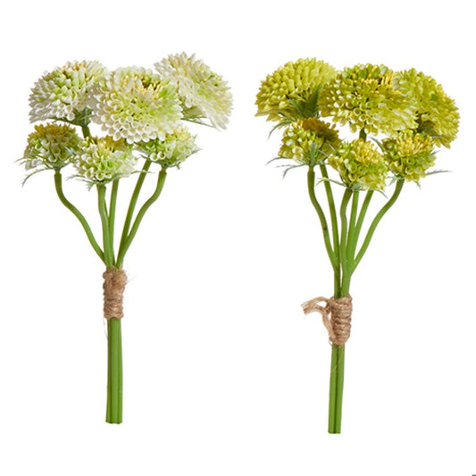 Light Green Sedum Bundle