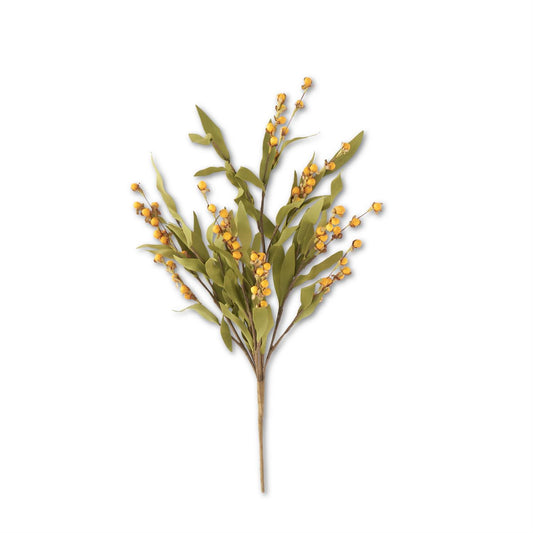 22.5 Inch Orange Eva Berry Bush