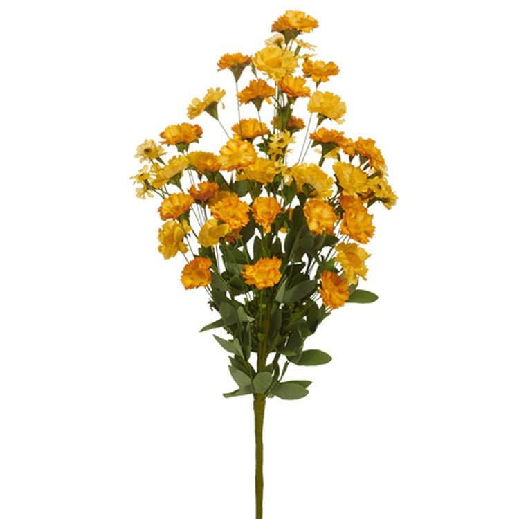 Yellow Daisy Bush