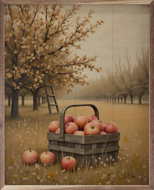 Apple Orchard