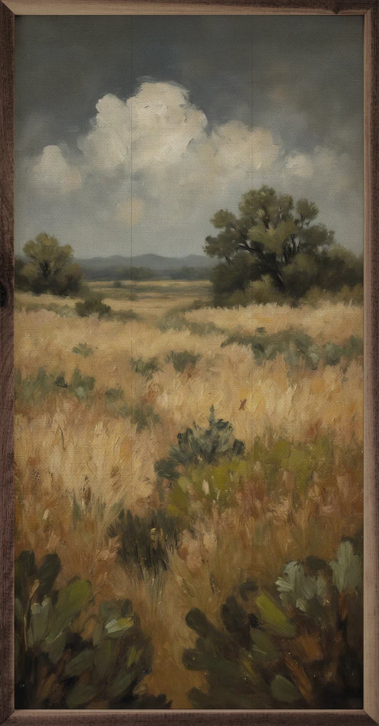 Stormy Skies Over Prairie