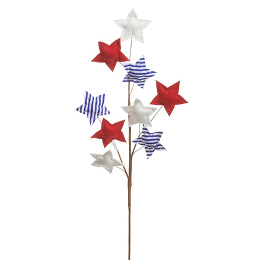 Red White and Blue Star Spray