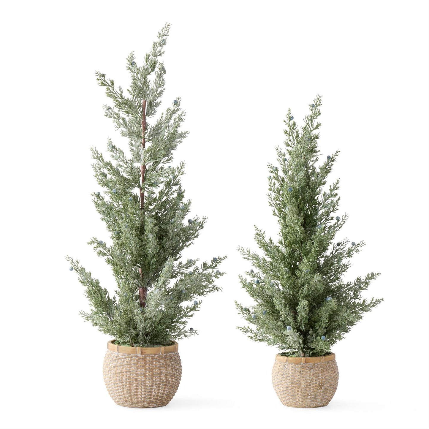 Frosted Juniper Trees w/Blue Berries In Cement Pots