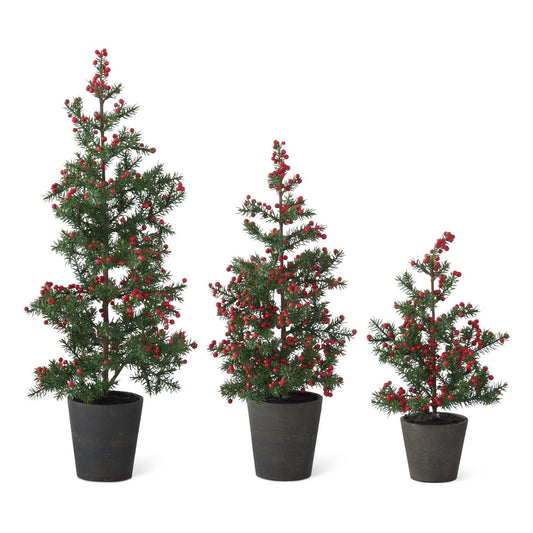 Juniper Pine Trees w/Red Berries In Black Ceramic Pots
