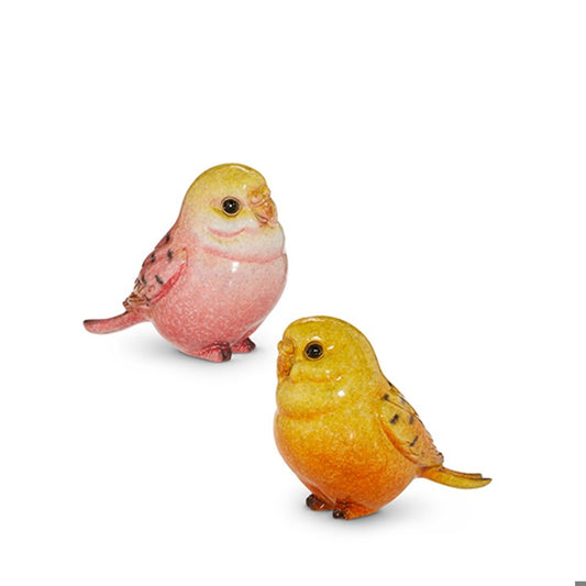 Sitting Pink Yellow Parakeets