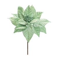 Poinsettia Stem