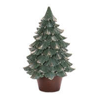 Sprucely Everglow. Everglow.