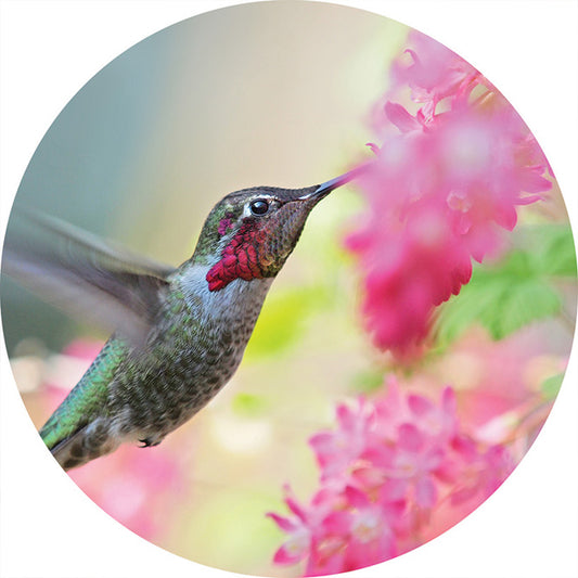 Hummingbird Flower Round Car Coaster