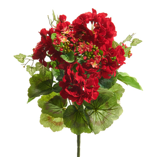 16" RED GERANIUM AND KALANCHOE BUSH