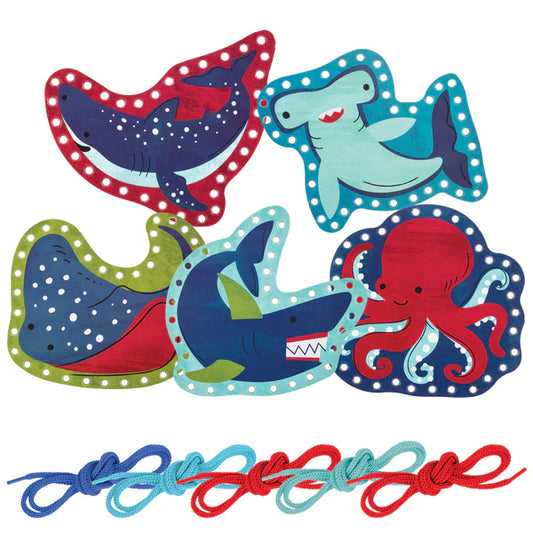Lacing Card Set