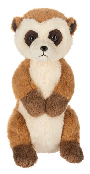 Webkinz