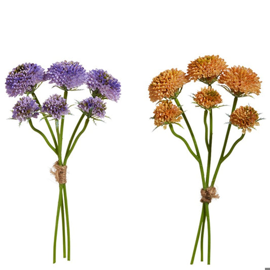 Sedum Bundle