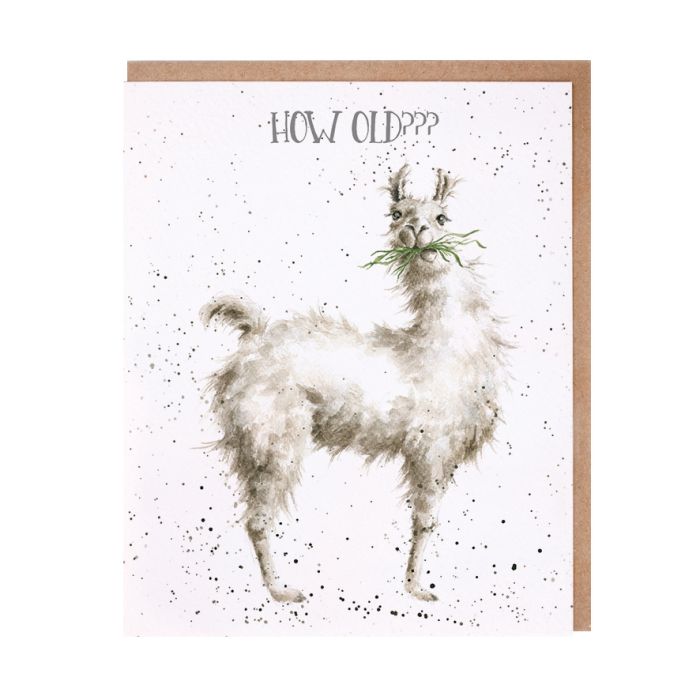 'HOW OLD???' LLAMA BIRTHDAY CARD