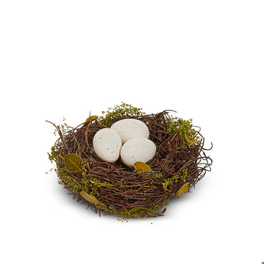 Eggs in Nest