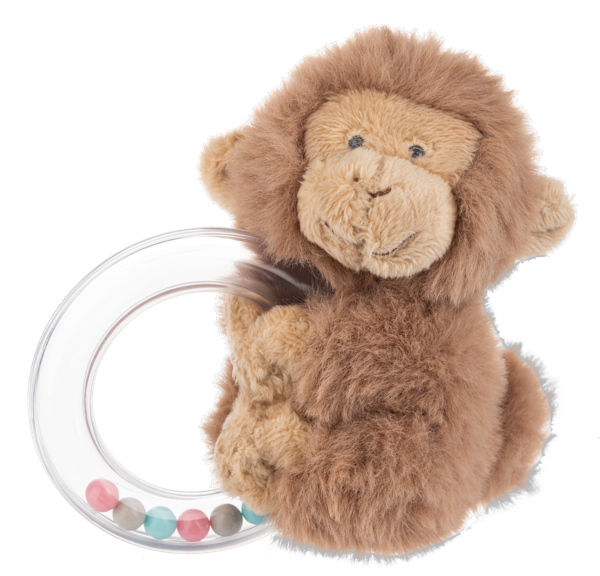 Ring Rattle