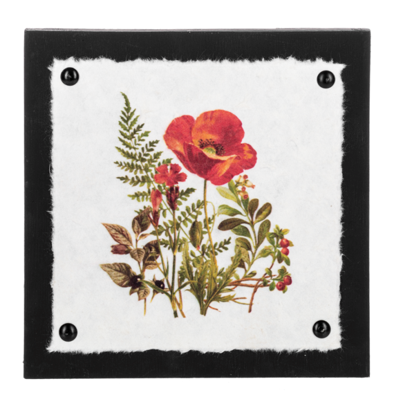 Poppy & Wildflower Wall Decor