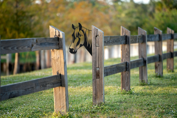Laser Cut Peeking Farm Animal Decor