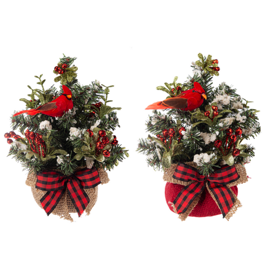 Mini Cardinal Evergreen Trees