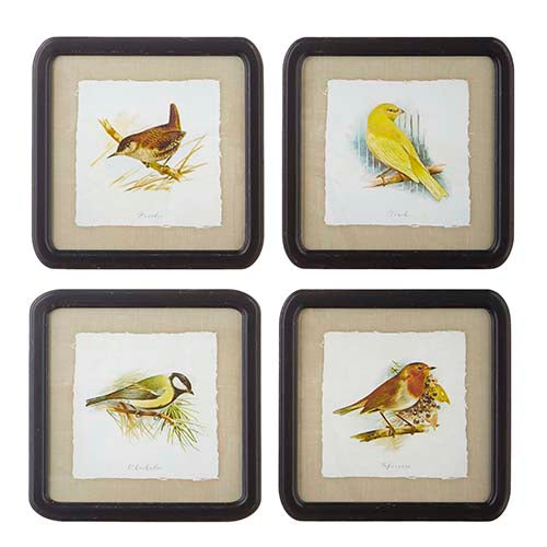 14" Bird Framed Print