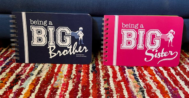 How to Be a Big Brother or Big Sister Advice Book