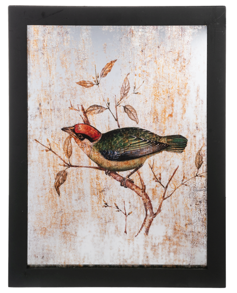 Framed Bird with Antique Mirror Wall Decor