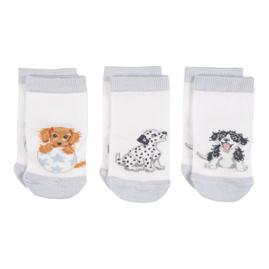 LITTLE PAWS' DOG BABY SOCKS